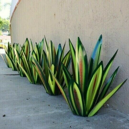 Anti-Rust Metal Tequila Agave Plant Triple Green Tone / 10.6’